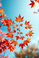vibrant orange and red maple leaves in a circular formation , autumn colors, leaves, outdoor scene