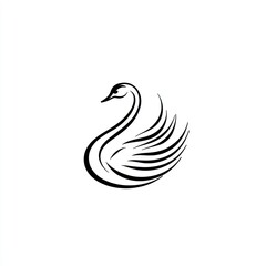 Obraz premium Elegant stylized black swan illustration.