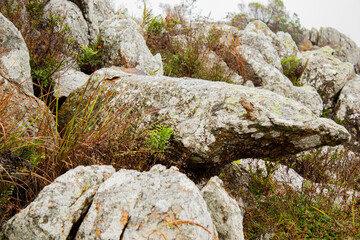 Rocas, caminos Tandil Bs As