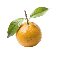 Fresh orange png isolated on white background