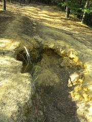 ground collapsed on a forest road, a large pit
