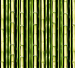 Fototapeta premium background collage of green bamboo fence surface texture. Background for banner, backdrop or texture mapping.generative ai