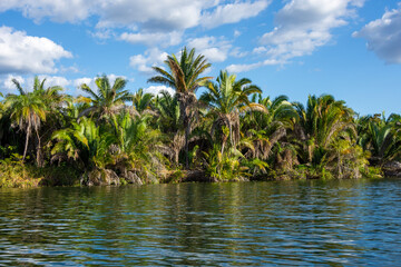 Landscape of Chapada das Mesas National Park from Tocantins River - Carolina, State of Maranhão