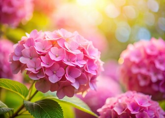 Obraz premium Serene Silhouette of Pink Hydrangeas in Soft Colors with a Dreamy Blur Effect for a Tranquil Nature Background