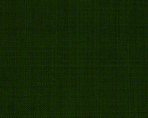 Green natural canvas with a relief texture