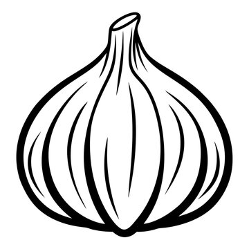 coloring page with garlic