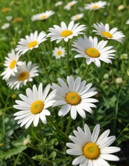 Fototapeta premium Colorful daisies with glowing white neon centers and bright green stems in a sunny field, blooming plants, garden decor, flower arrangement