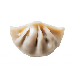 Single Crinkled Brown Fried Dumpling on Black Background, Product Photo Style