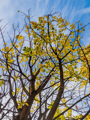 Edinburgh, Scotland, UK
