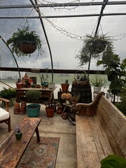 Greenhouse with church bench 