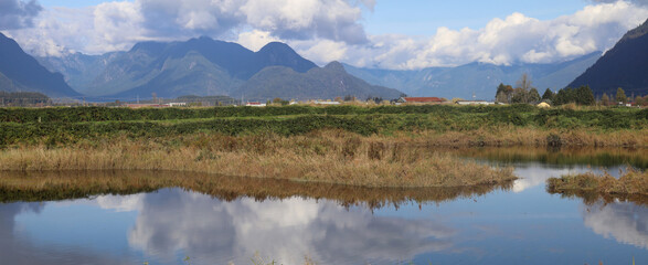 Perfect calm of pond between marshes