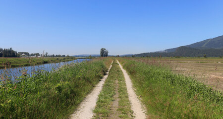 Dyke road between farm fields