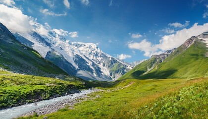 Naklejka premium Summer Serenity: A Bright Alpine Meadow Beneath Snow-Capped Peaks