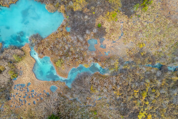 Lush wetlands with vibrant blue waters surrounded by earthy colors and wild vegetation in a natural setting in autumn