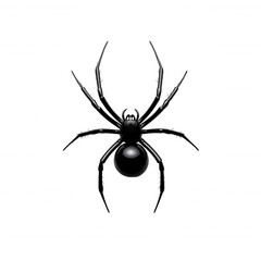 Digital Spider Web Illustration Minimalist Black Background