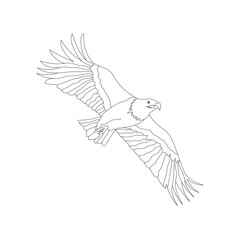 eagle flying coloring page vector illustration
