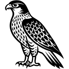 hawk silhouette vector illustration