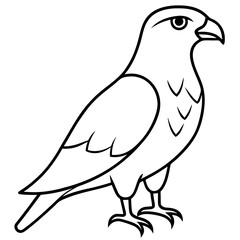 hawk silhouette vector illustration