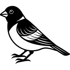 finch  silhouette vector illustration