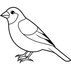 finch  silhouette vector illustration