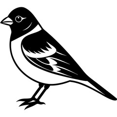finch  silhouette vector illustration