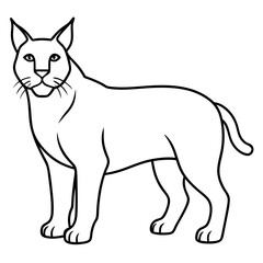 lynx silhouette vector illustration