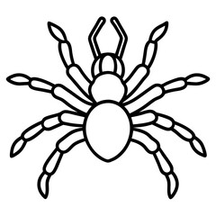 tarantula silhouette vector illustration