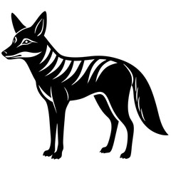 jacka silhouette vector illustration