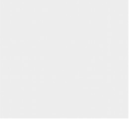 seamless pattern with flowers and damask pattern