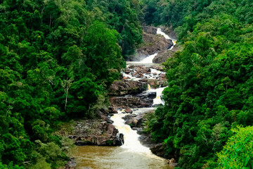 Water fall in a tropical evergreen forest in Ranomafana Madagascar