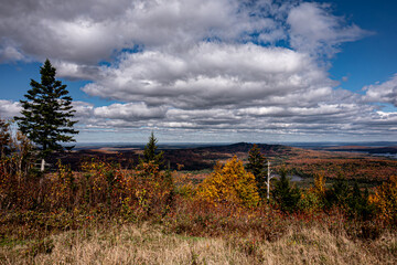 Wilderness and Travel