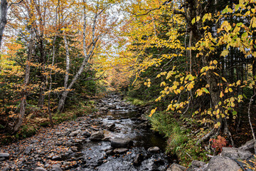 Wilderness and Travel