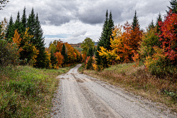 Wilderness and Travel