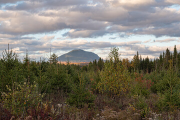 Wilderness and Travel