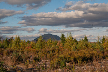 Wilderness and Travel