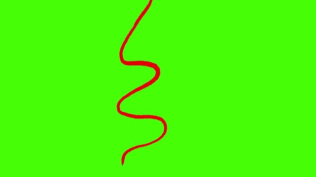 Red hand drawn moving snake in one line. Red line animation on green background