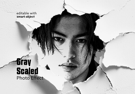 Gray Scaled Photo Effect