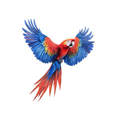 Obraz premium Scarlet Macaw in Flight - Vibrant Tropical Bird Illustration