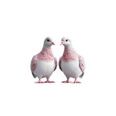 Obraz premium Two Pink and White Doves Facing Each Other