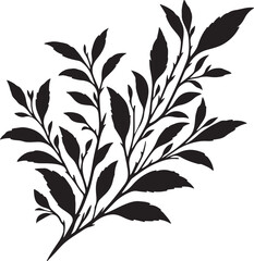 Fototapeta premium Tea branch silhouette design vector illustration
