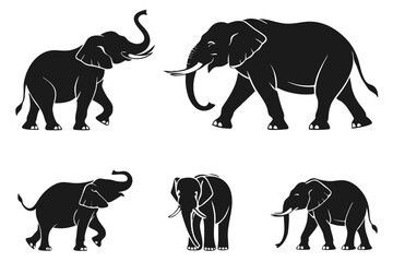 set of elephants