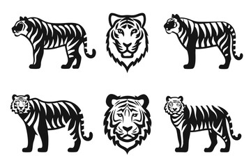 Obraz premium set of tiger vector