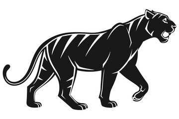 tiger vector illustration