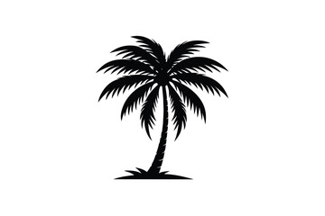 palm tree silhouette