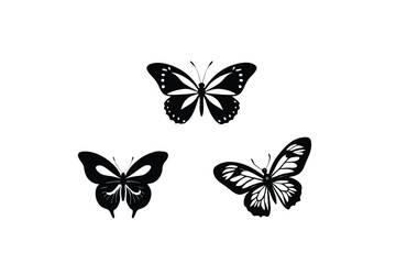 set of butterfly vector design 
