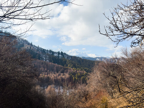 A serene winter landscape in the mountains of Almaty, Kazakhstan. Snow-dusted peaks rise in the background, while a dense forest of evergreen trees covers the slopes under a cloudy sky. - Powered by Adobe