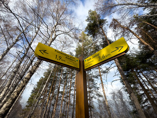 A yellow wooden directional signpost in a forest with arrows pointing to hiking trails. Bare trees...