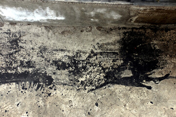 Abstract texture and form on  plan