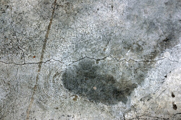 Abstract texture and form on  plan