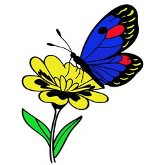 butterfly-on-the-flower-black--yellow-green-blue-red color-and-white-background